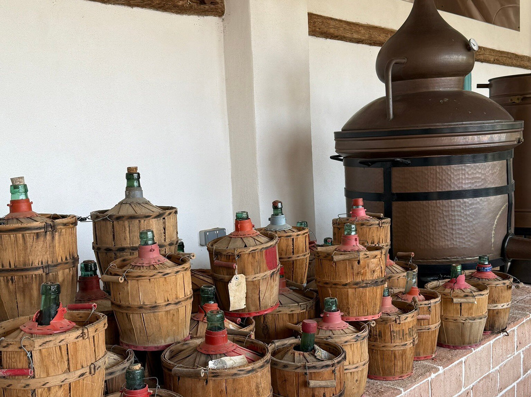 Casa Vermouth Padró-Brafim必去景点