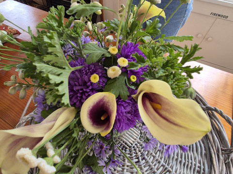 Blackburn Ridge-Waipawa必去景点