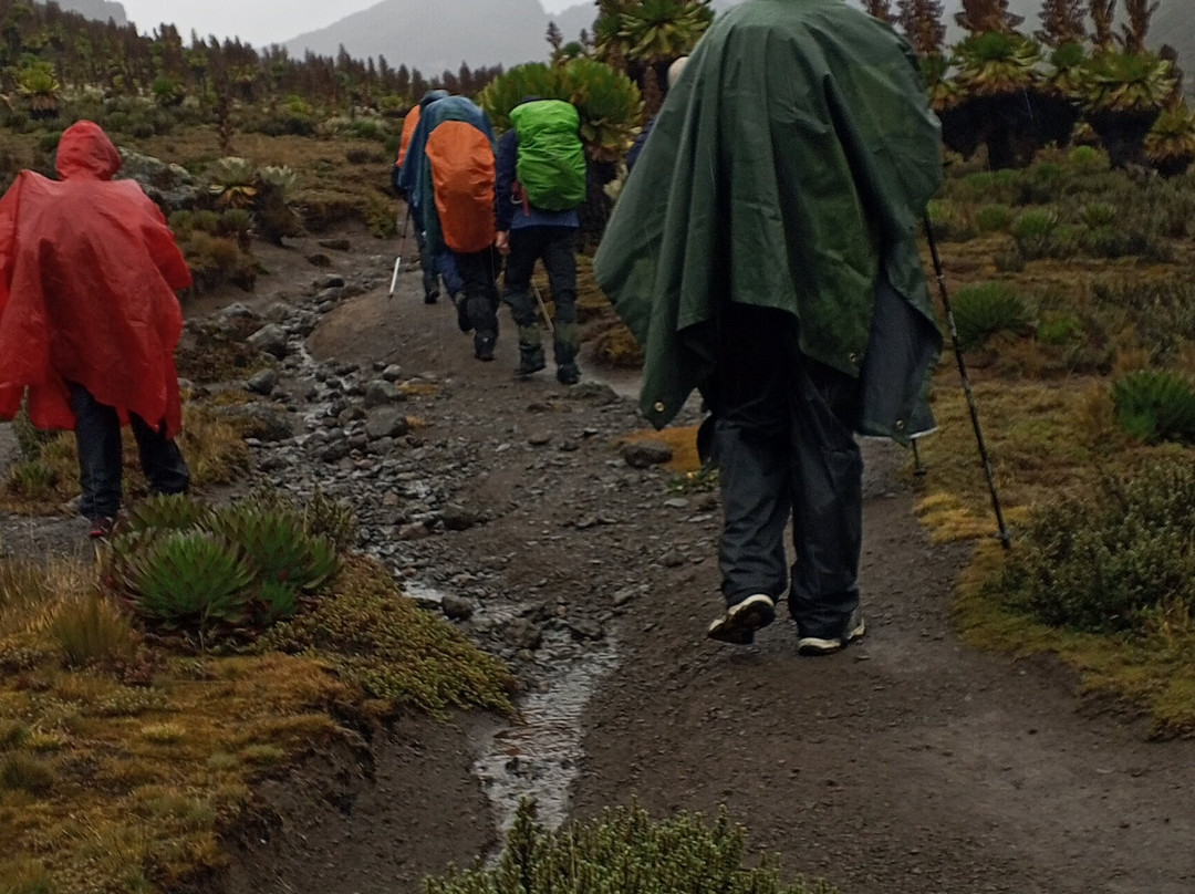 Gracious Trekking Expeditions-南由基必去景点