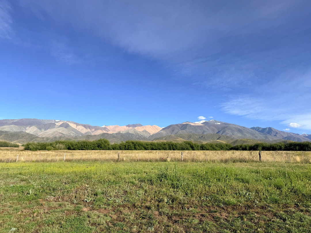 Vivacs Del Plata-Tupungato必去景点