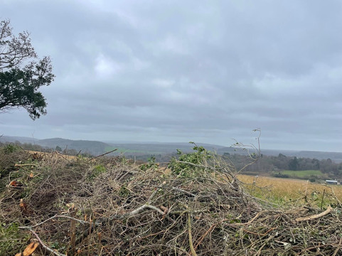 Loseley Park-吉尔福德必去景点