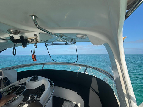 Ningaloo Whaleshark-N-Dive-埃克斯茅斯必去景点