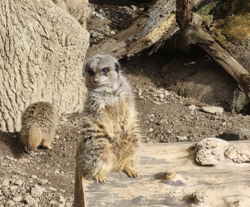 The Lake District Wildlife Park-Bassenthwaite必去景点
