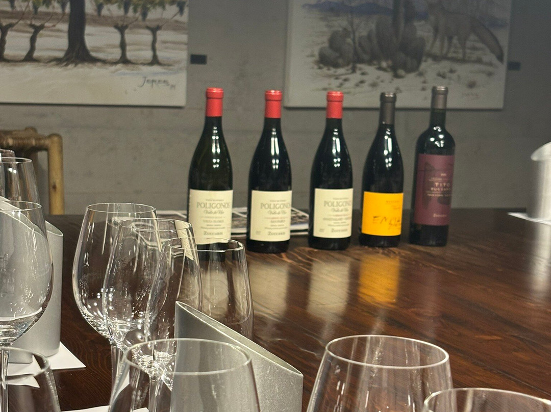 Mendoza Wine Tour-门多萨必去景点
