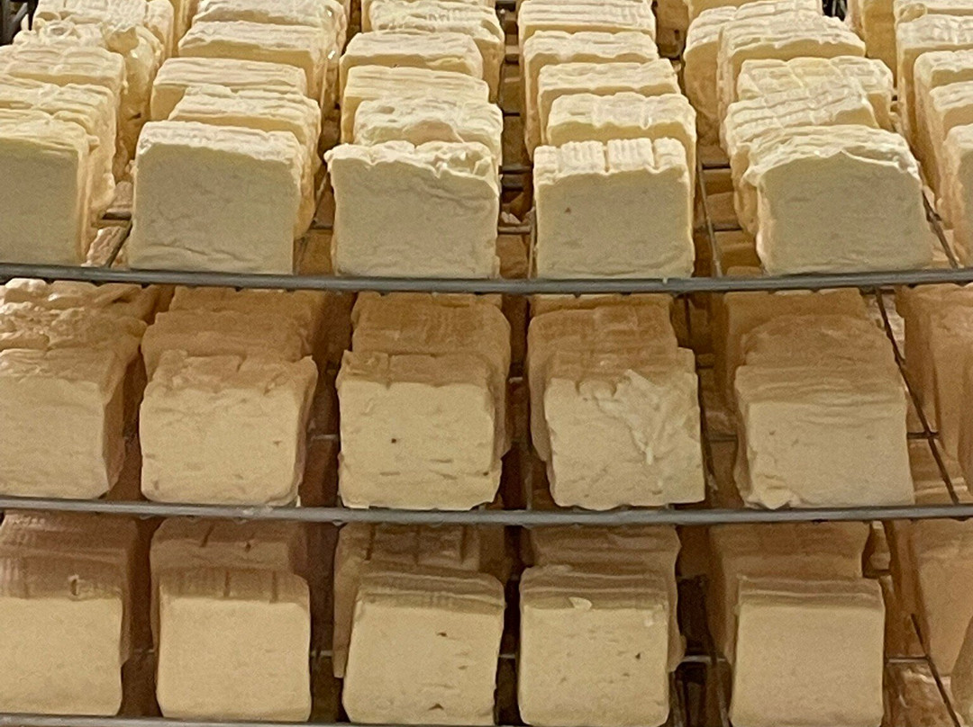 La Fromagerie du Vieux Moulin-Battice必去景点