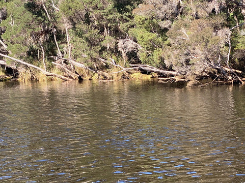 Leven River Cruises-Ulverstone必去景点