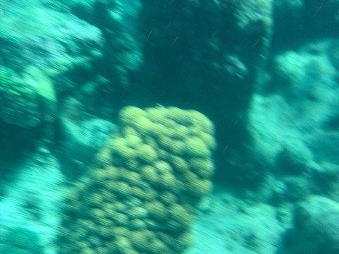 Big Beard's Adventure Tours-Christiansted必去景点