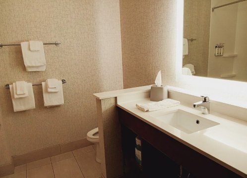 阿拉楚阿盖恩斯维尔地区智选假日套房酒店-浴室