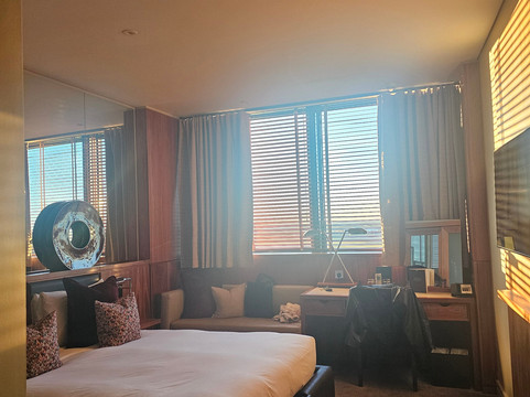 飞行员汉普郡主图