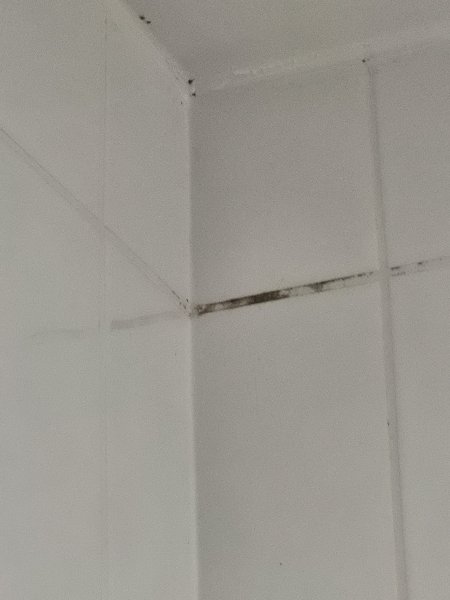 牛津梨树旅屋酒店-官方