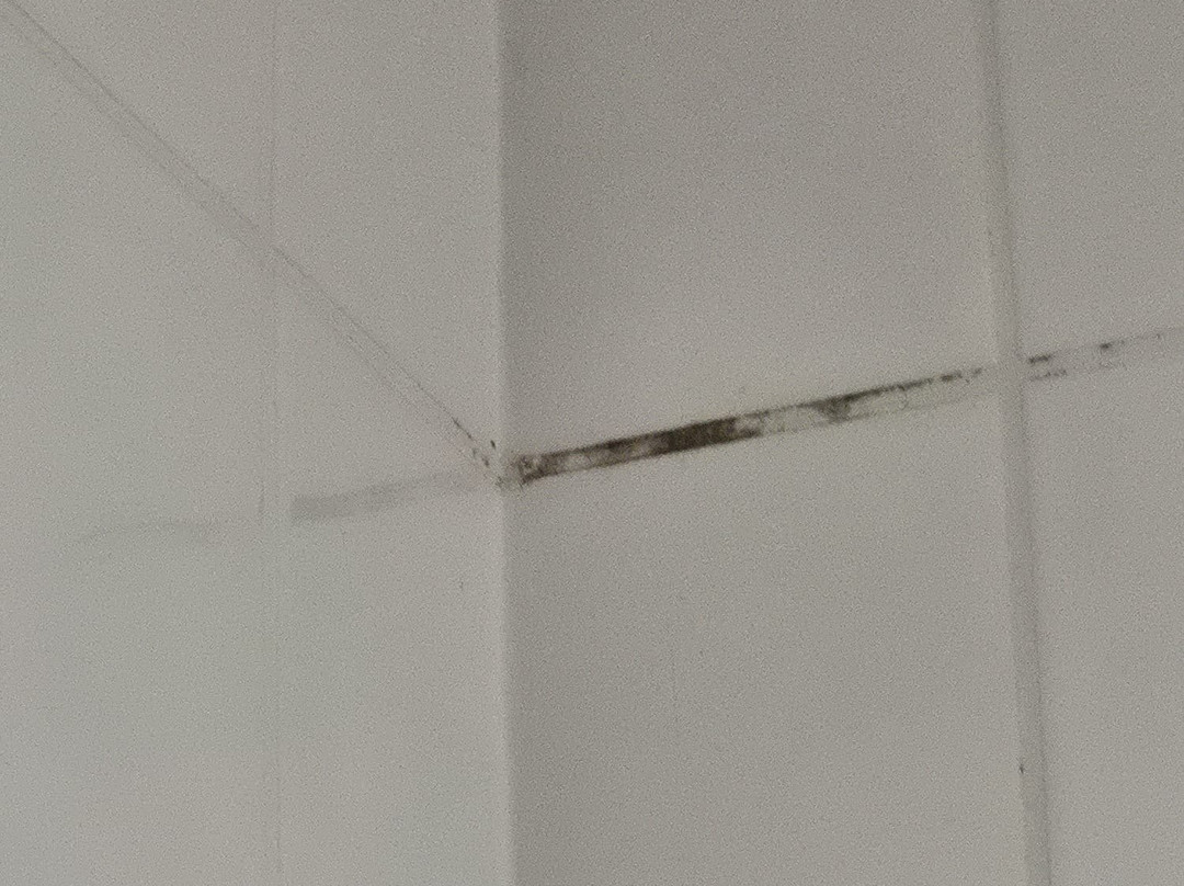 牛津梨树旅屋酒店主图