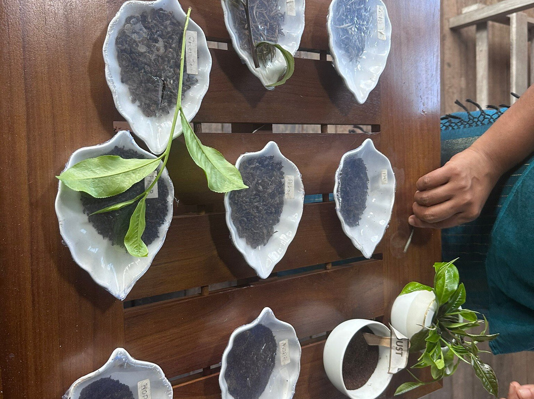 Pilimathalawa Tea Factory-Pilimathalawa必去景点