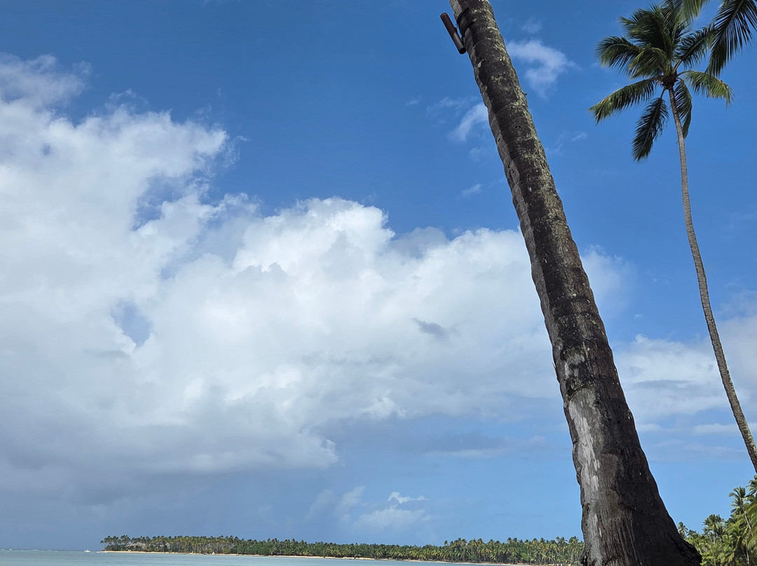 Playa Coson-拉斯特拉纳斯必去景点