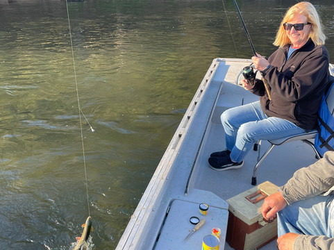 Cotter Trout Dock Guided Trout Fishing Tours-Cotter必去景点