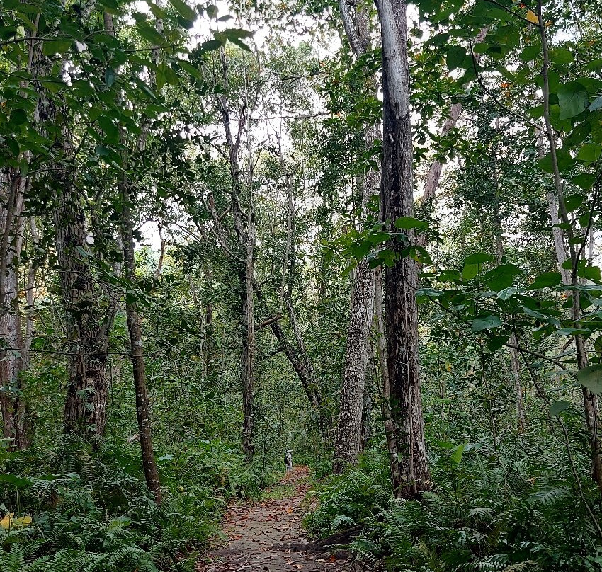 Veuve Nature Reserve-拉迪格岛必去景点