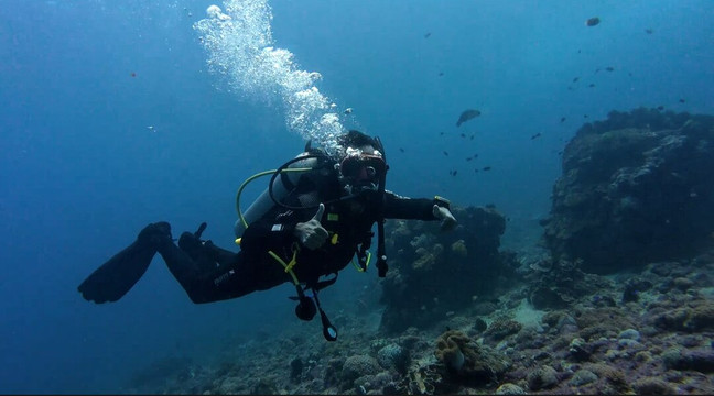 Nico Dives Cool - Day Tours-沙努尔必去景点
