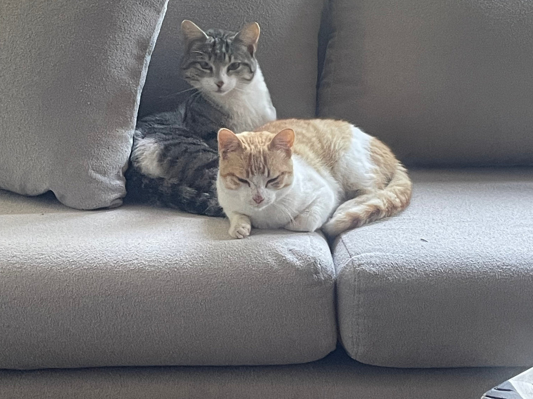 高尔夫馆酒店主图