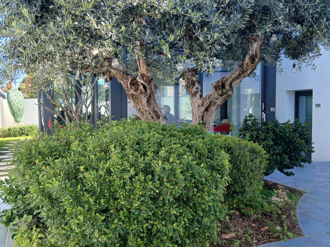 梦神怀抱家庭旅馆主图