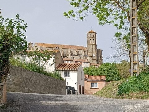Collégiale Saint-Vincent-Montreal必去景点