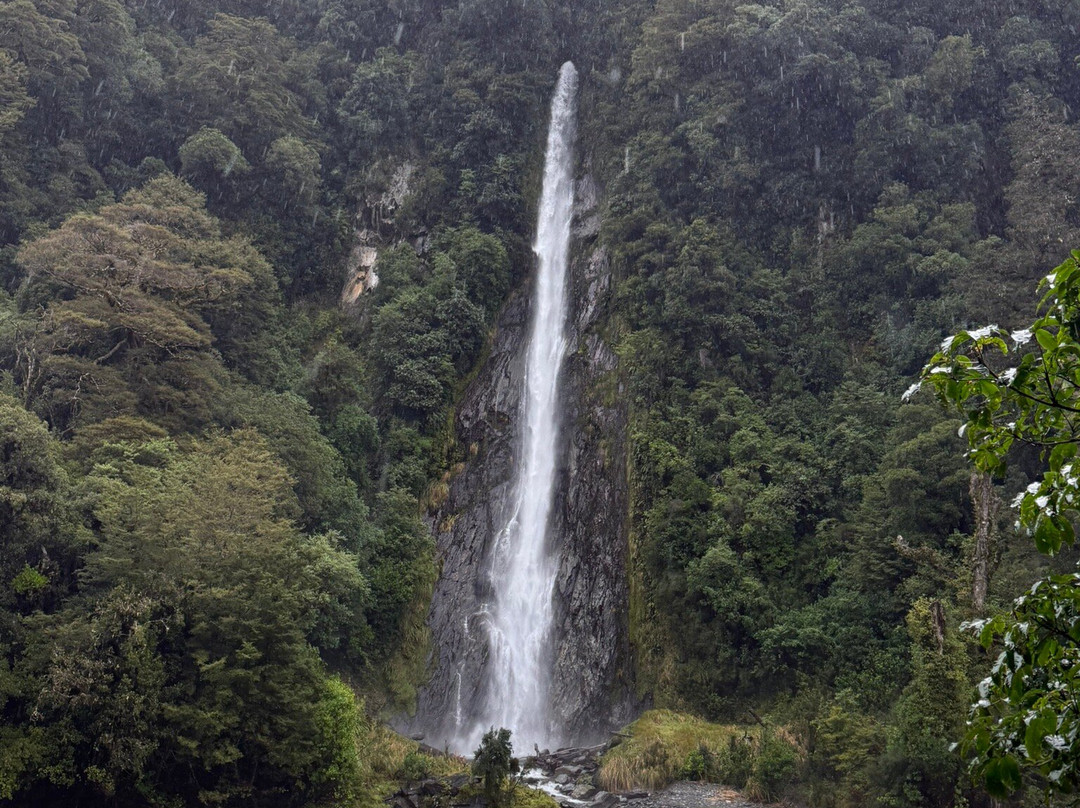 Fantail Falls-西海岸地区必去景点