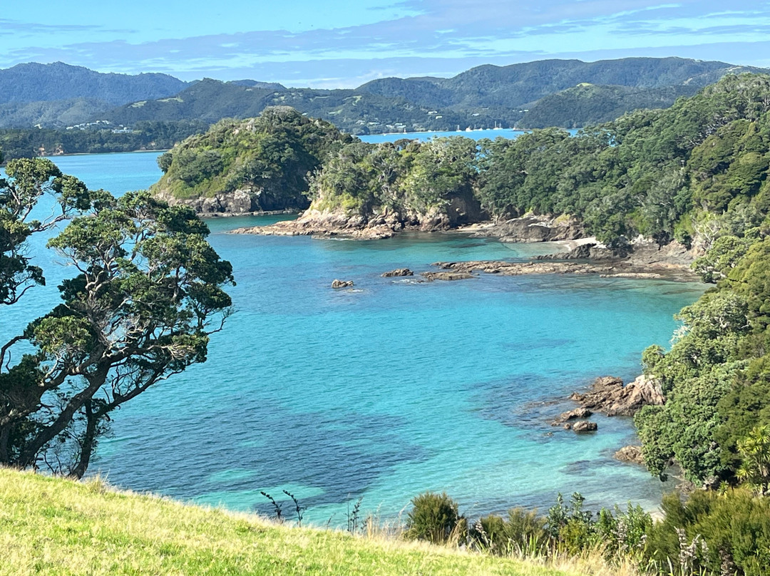 Urupukapuka Island-派希亚必去景点
