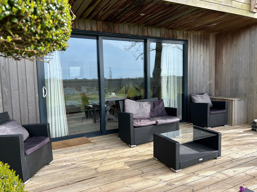 Tinwood Estate Vineyard-奇切斯特必去景点