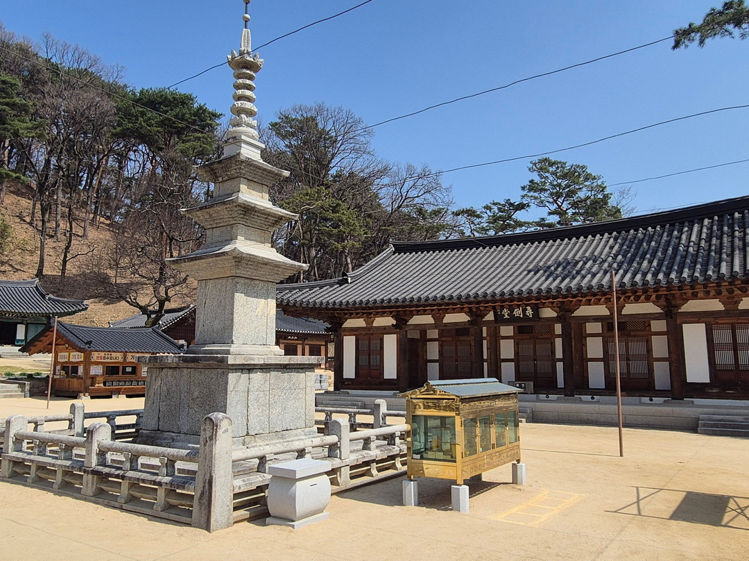 Jikjisa Temple-金泉市必去景点