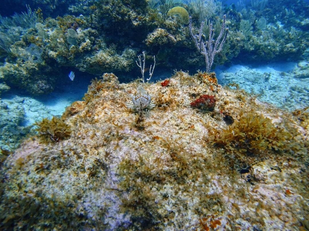 CocoVibes Tours-圣 约翰必去景点