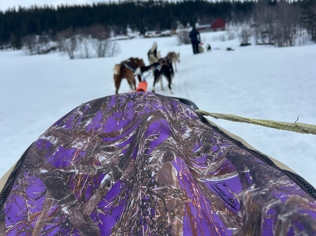 Beito Husky Tours Day Tours-Beito必去景点