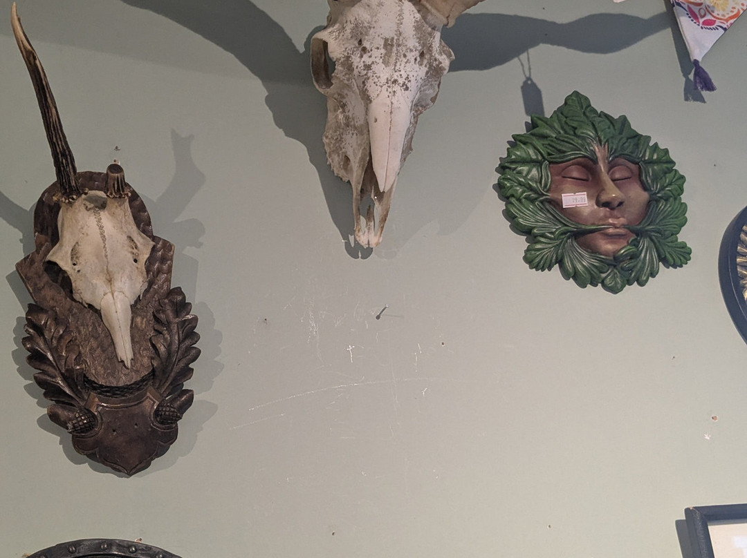 Morbitorium-卡菲利必去景点