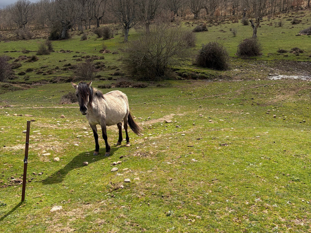 Paleolitico Vivo-布尔戈斯省必去景点