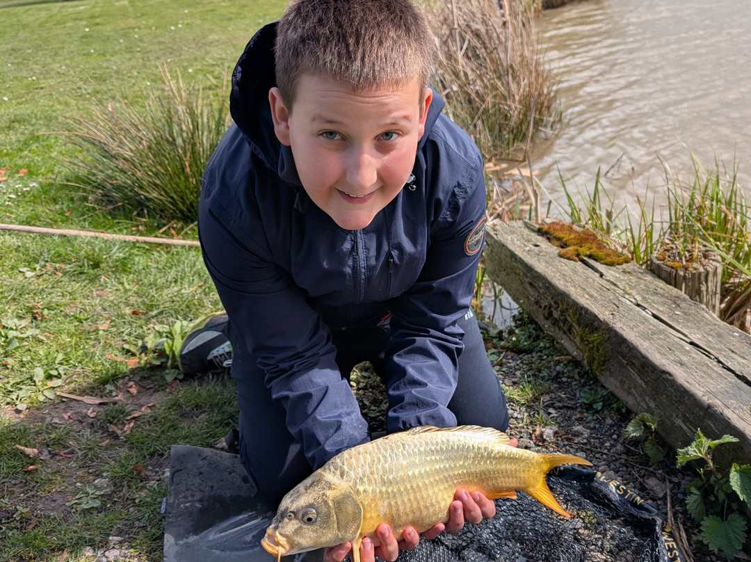 新农场民宿主图