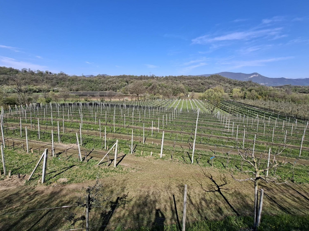 Podere Dei Folli-Polpenazze del Garda必去景点