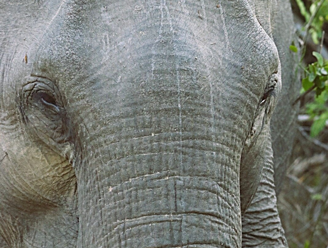 Eddy's Expeditions-加勒必去景点