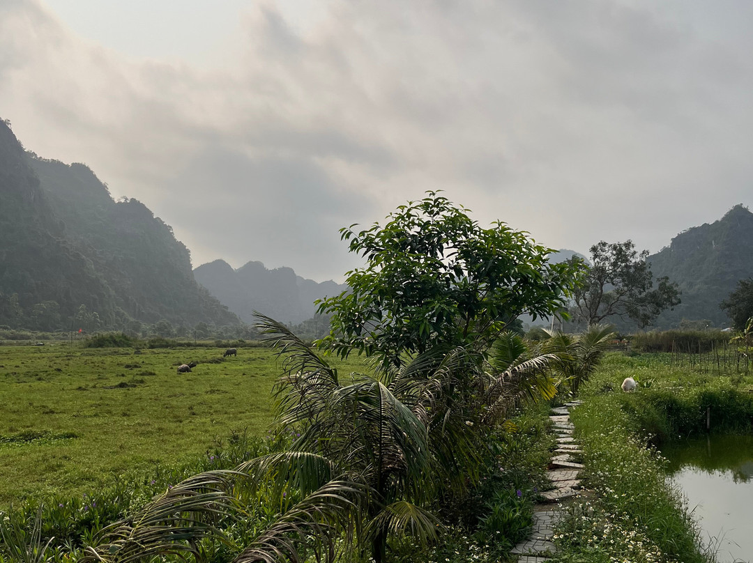Cat Ba Ocean Cruises-广宁省必去景点