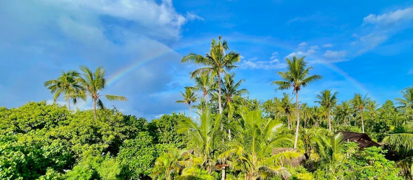 毛伊岛棕榈酒店-官方