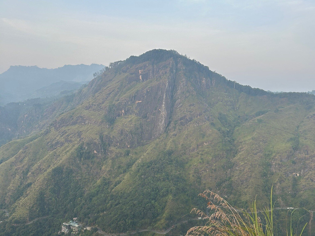 Risi Travels-加勒必去景点