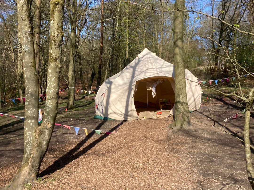Longshaw Estate-峰区国家公园必去景点