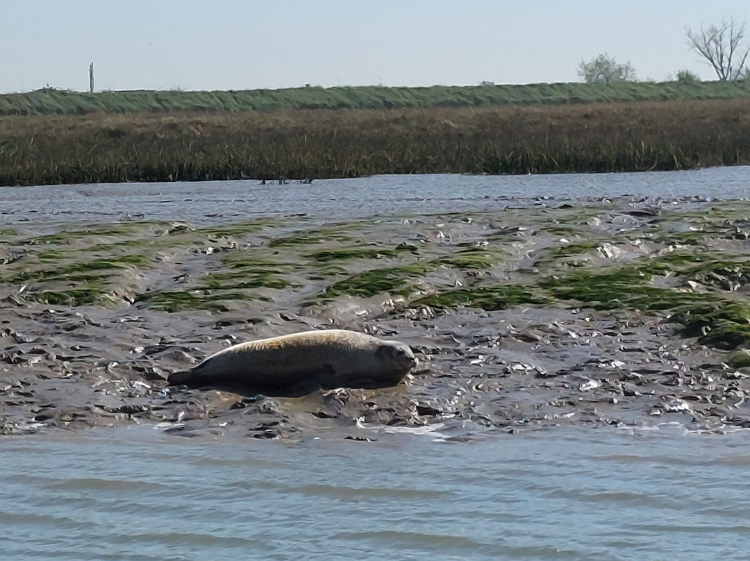 Discovery Seal Trips-Rochford必去景点