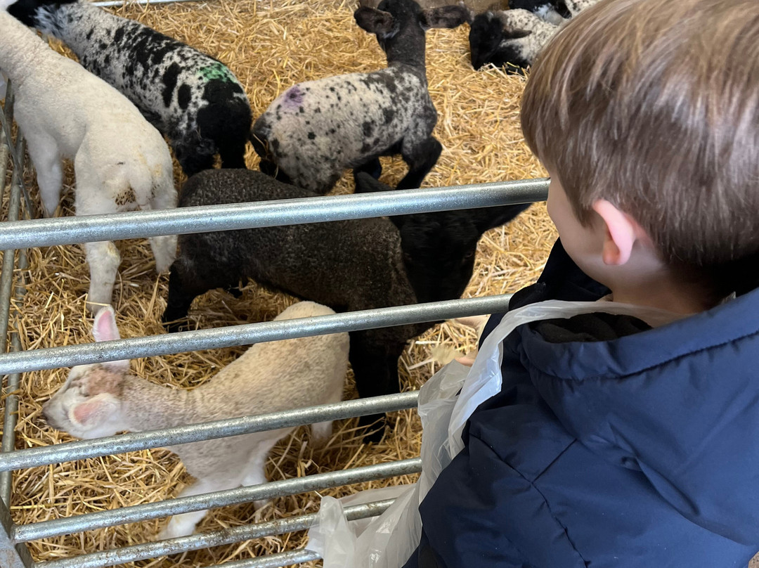 Craigbank Farm-Kilmarnock必去景点