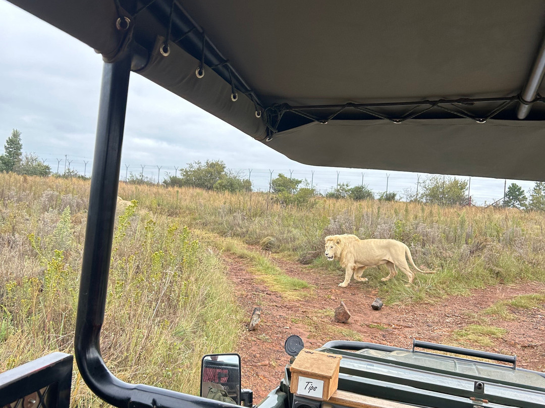 Rhino and Lion Nature Reserve-Krugersdorp必去景点