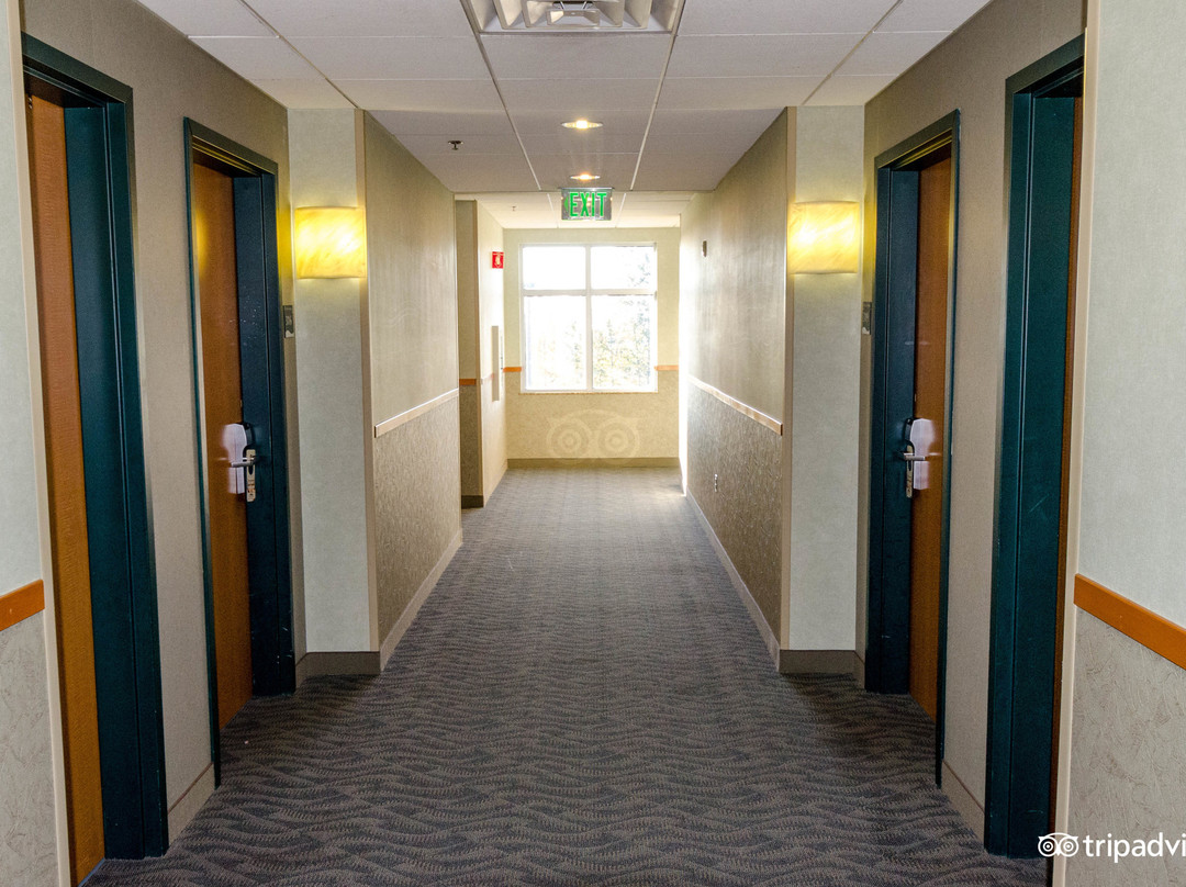 戴蒙德中心酒店