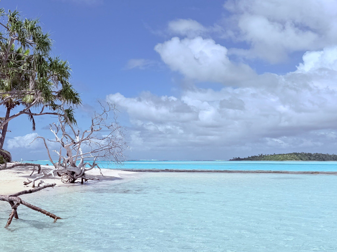 Silent One Lagoon Charters-艾图塔基必去景点