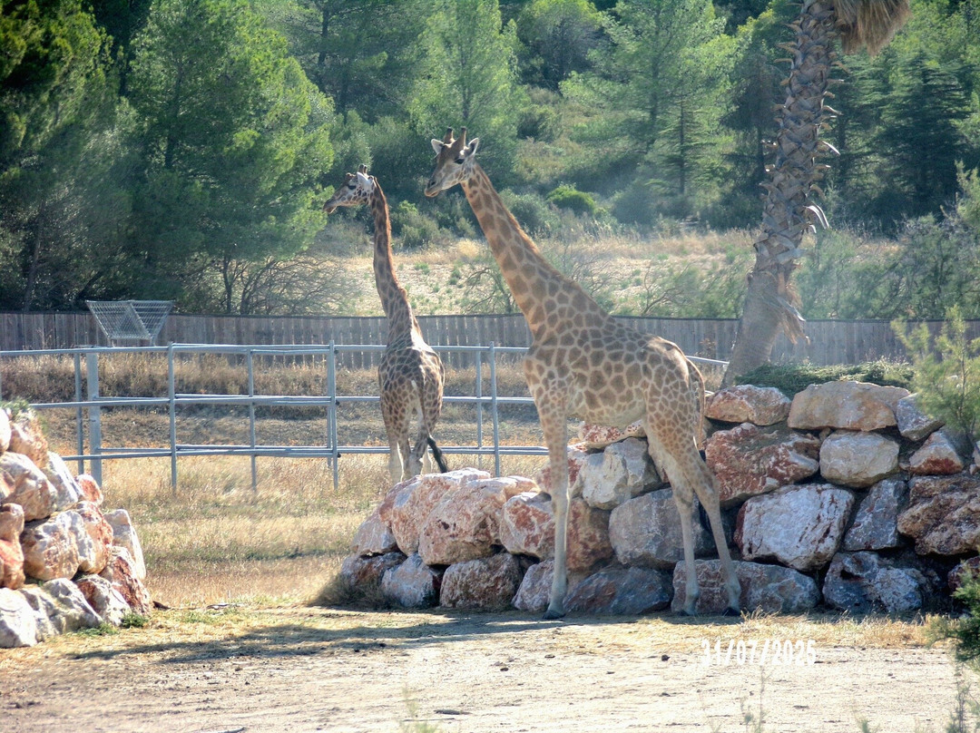 Réserve Africaine de Sigean-Sigean必去景点