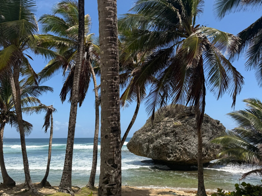 Island Safari Barbados-Saint Michael Parish必去景点