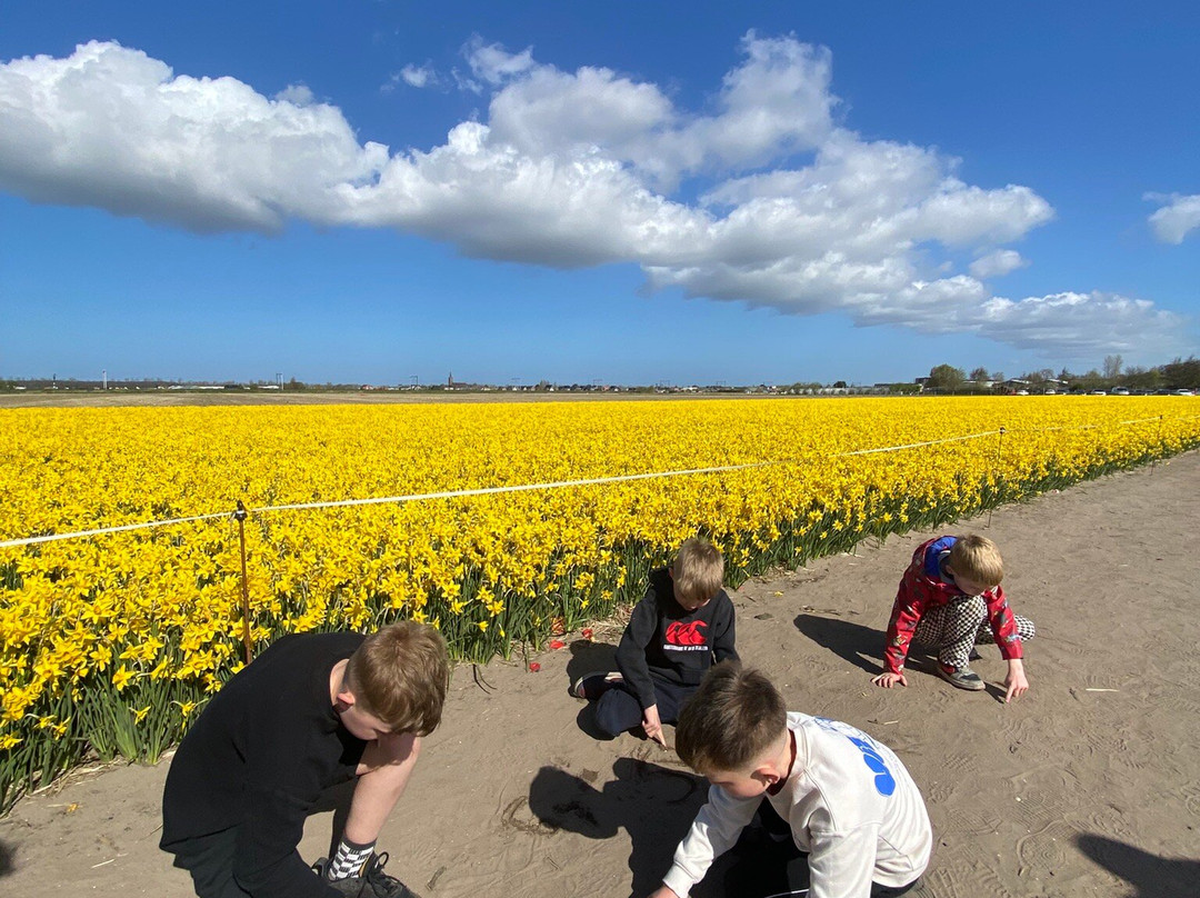 The Tulip Barn-Hillegom必去景点