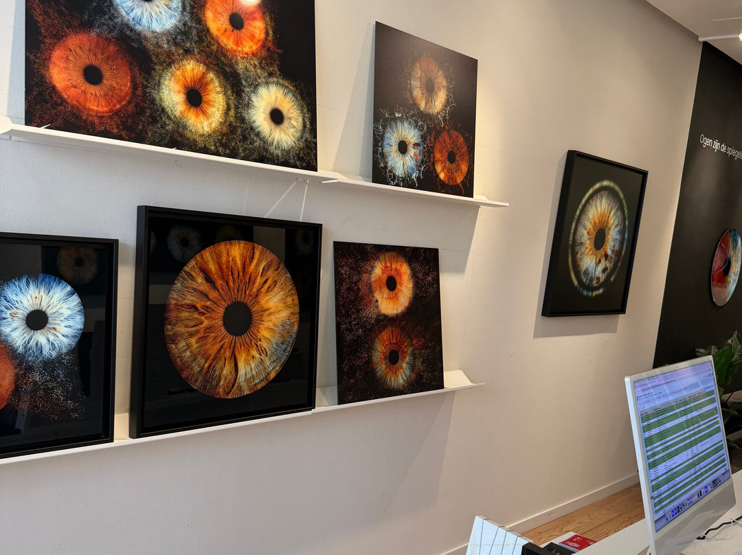 Iris Galerie Maastricht-马斯特里赫特必去景点