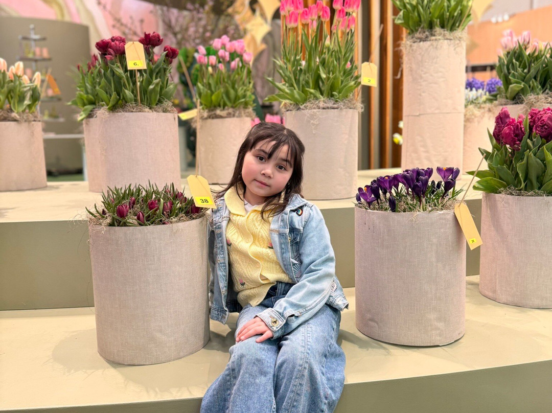 阿姆斯特丹竞技场塔智选假日酒店主图