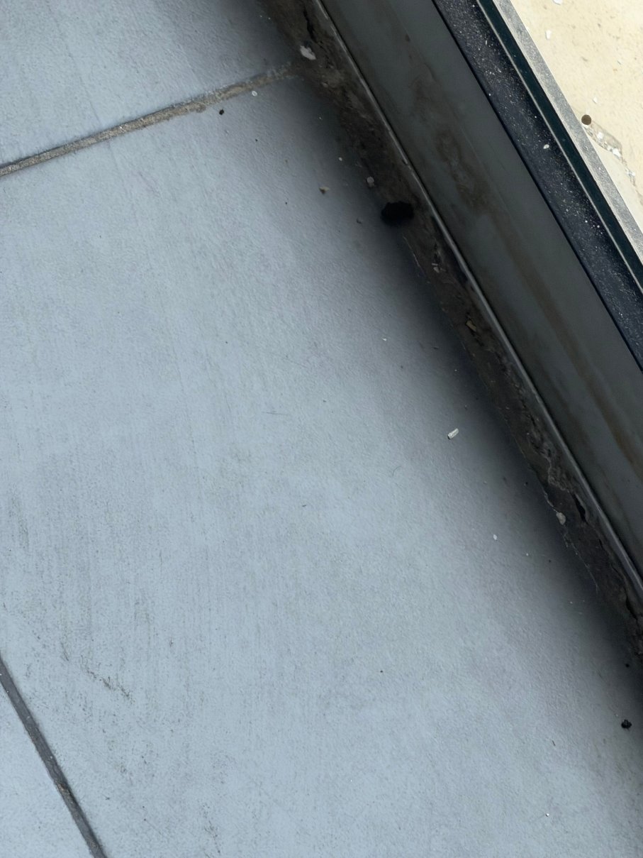 努阿瑟尔机场瑞莱克斯酒店-旅行者