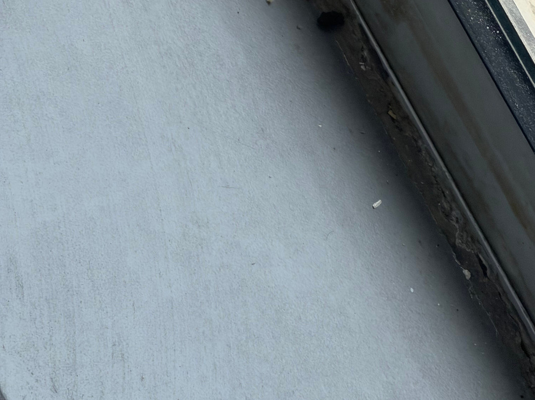 努阿瑟尔机场瑞莱克斯酒店主图